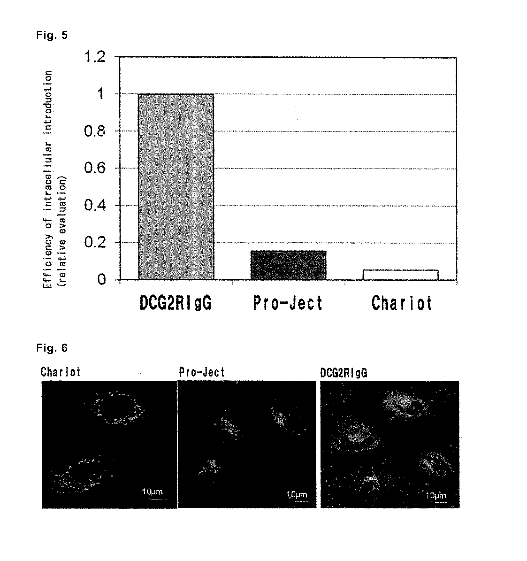 Carrier for intracellular delivery of functional protein