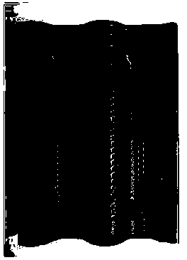 Method and device for detecting ceramic tile defects based on machine vision