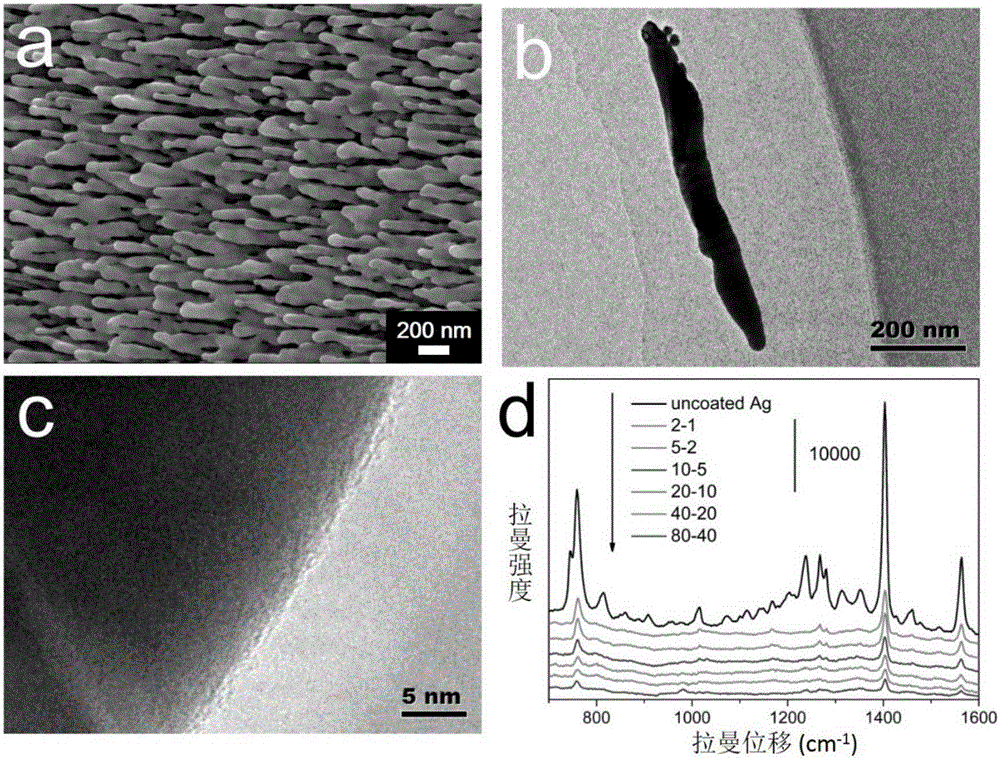 Surface-enhanced Raman scattering substrate with pin holes in its surface and preparation method