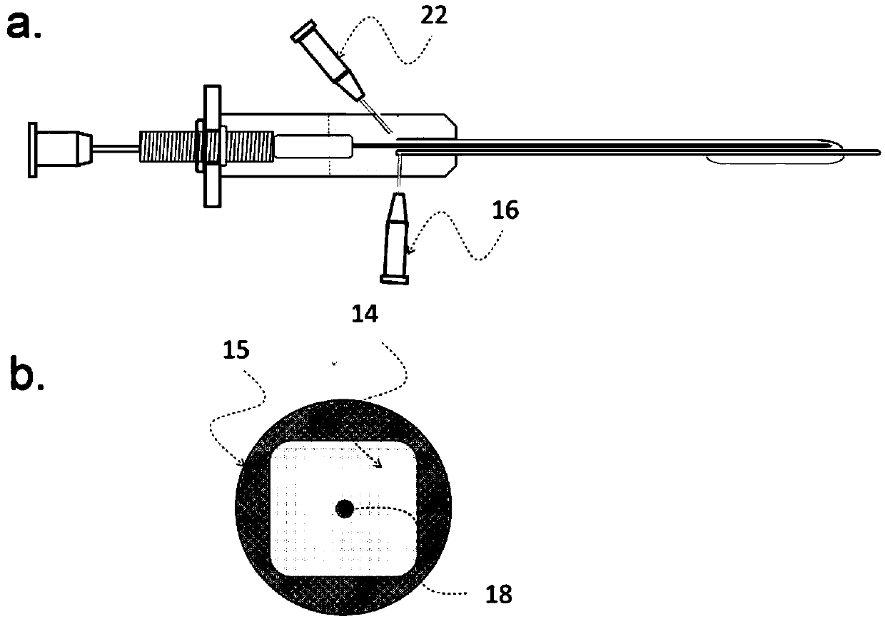 Multifunctional balloon catheter and system