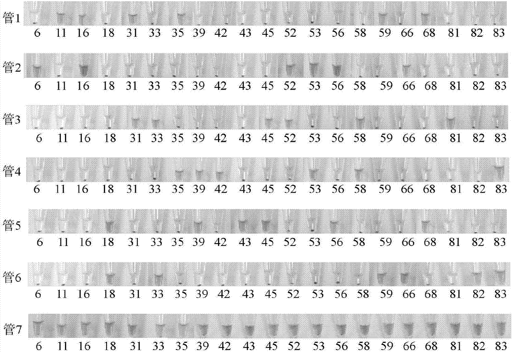 Novel kit and method for typing 21 human papilloma virus subtypes