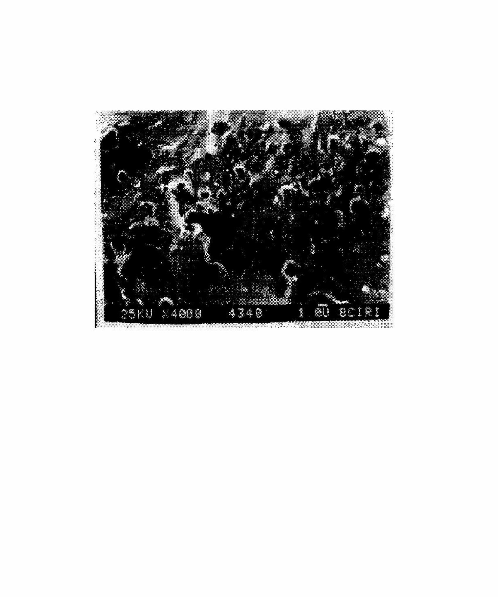 Composition of hydrogenated segmented copolymer elastomer-nylon 6