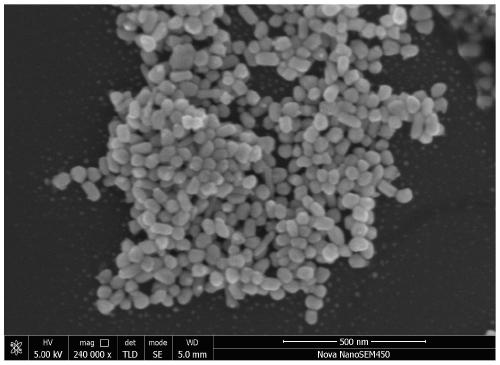 Application of silver nanosphere material in MALDI-TOF MS detection of small molecular metabolites