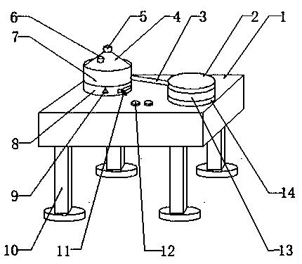 Rapid production device for granular medicine