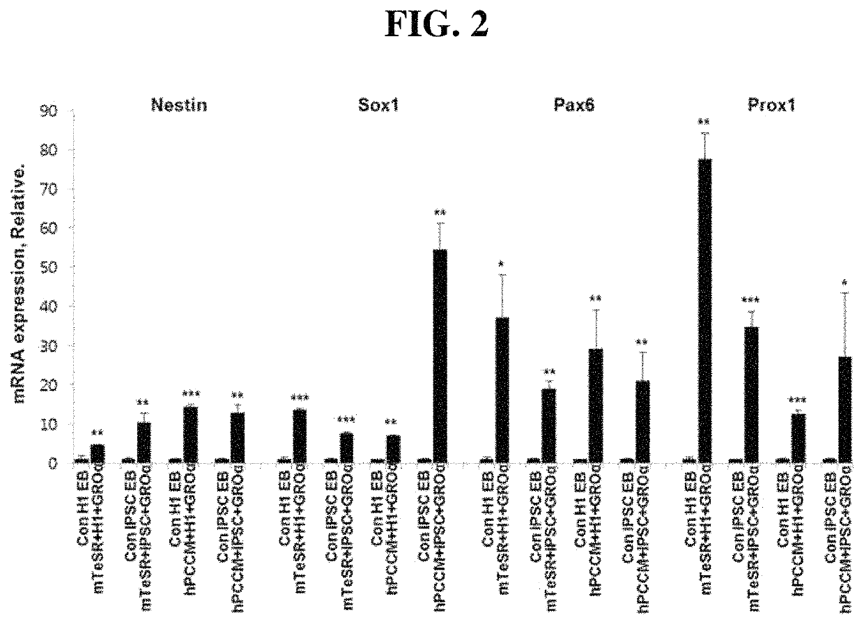 Method for inducing ectodermal differentiation of embryoid bodies derived from human pluripotent stem cells by CXCR2 stimulation