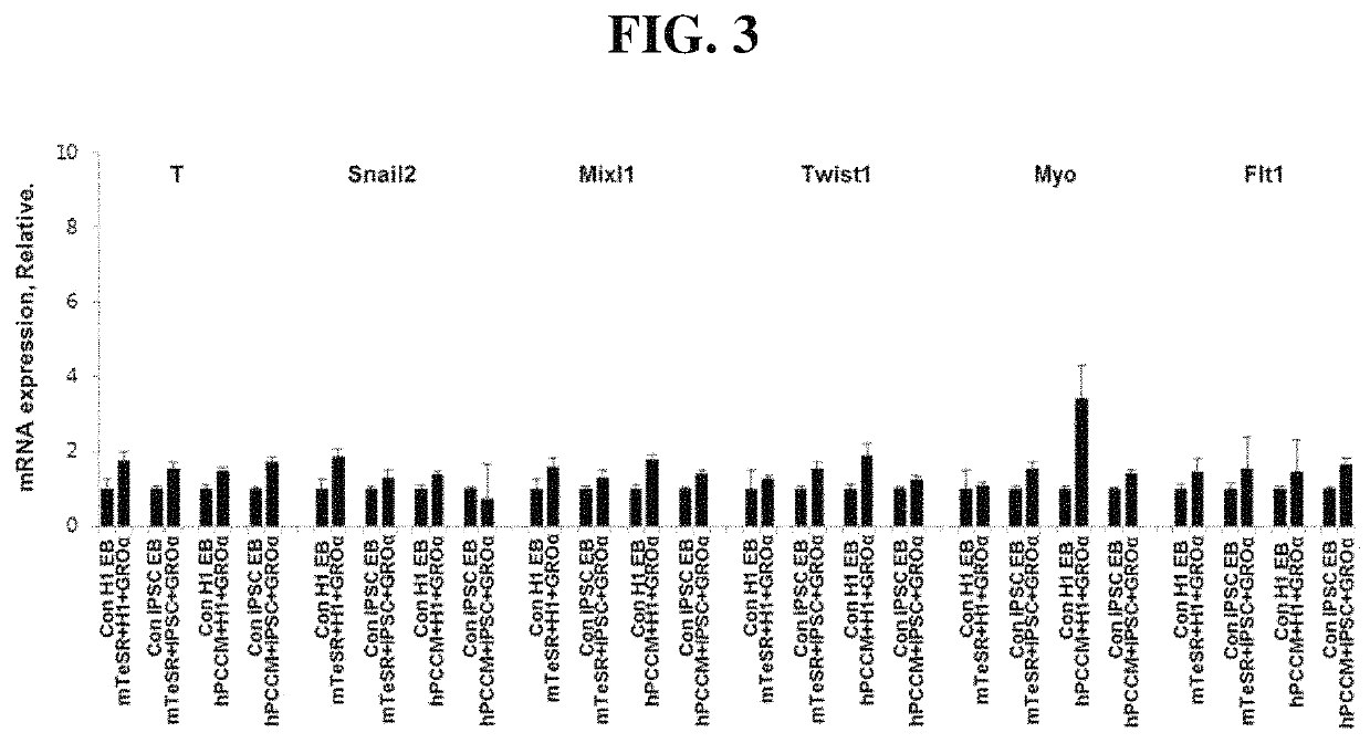 Method for inducing ectodermal differentiation of embryoid bodies derived from human pluripotent stem cells by CXCR2 stimulation