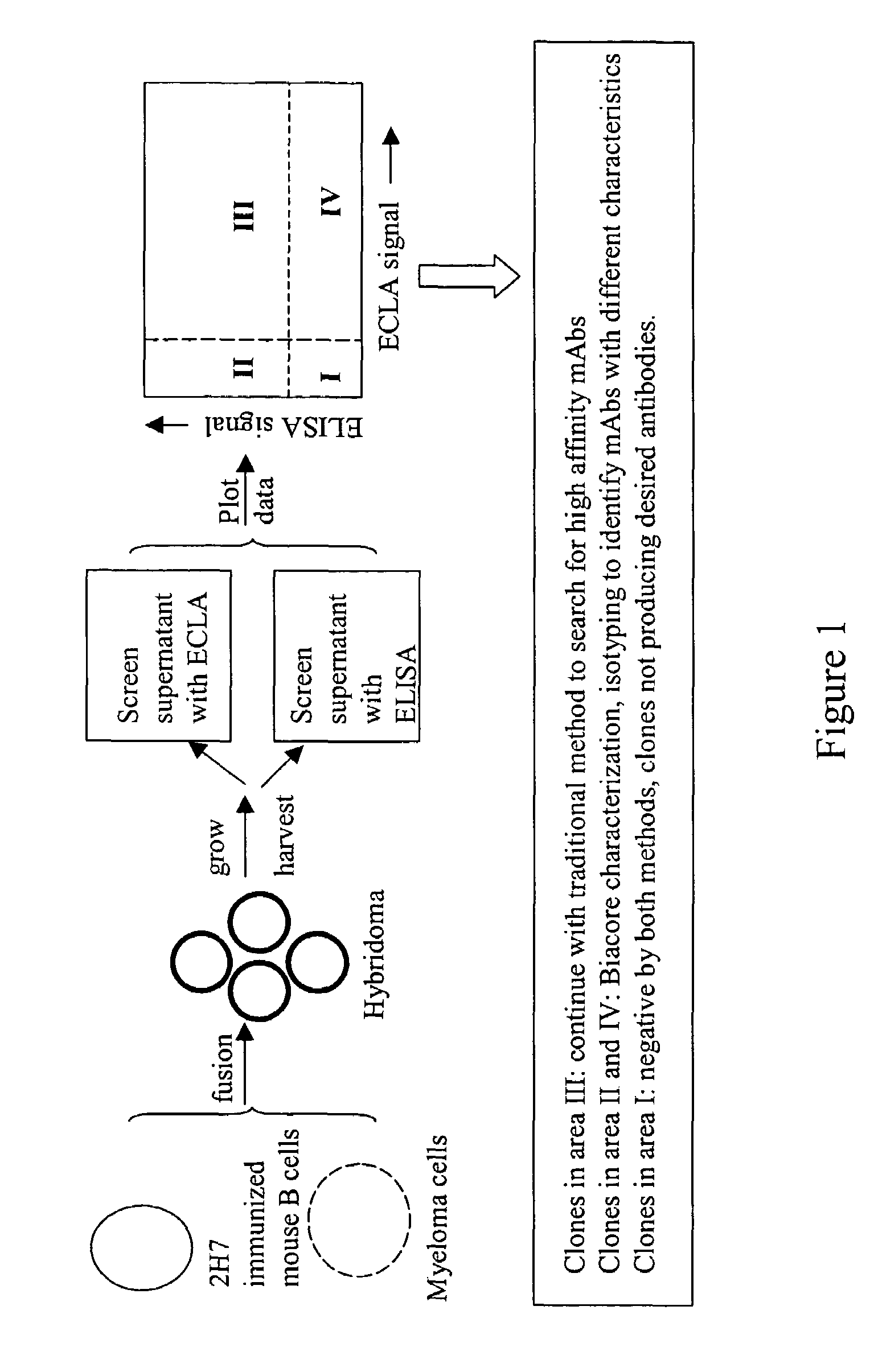 Cross-screening system and methods for detecting a molecule having binding affinity for a target molecule