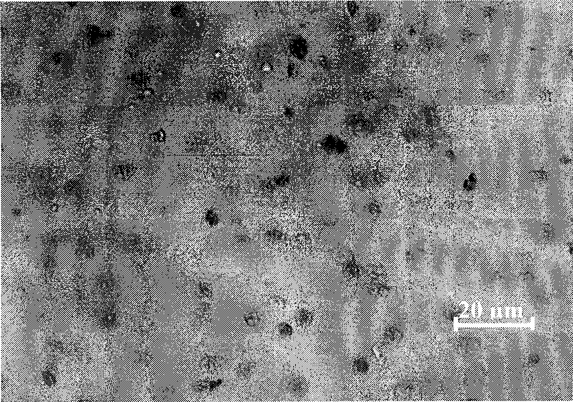 Extracting method for plant chloroplast total protein and special extract therefor