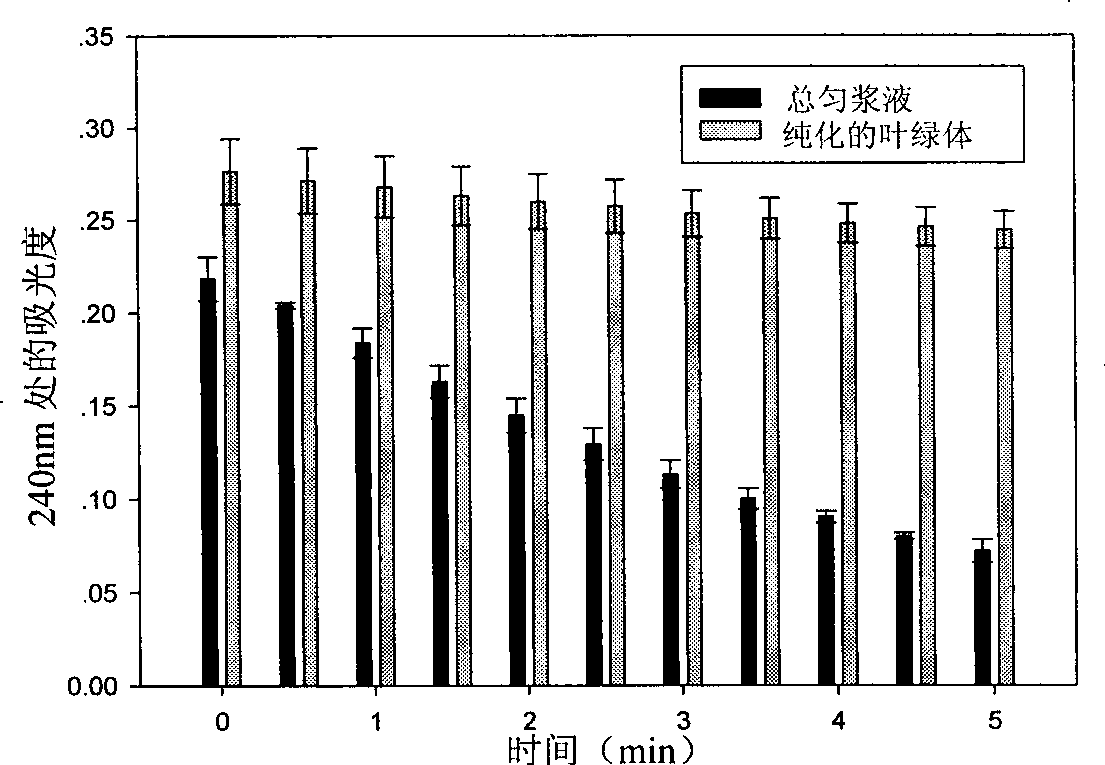 Extracting method for plant chloroplast total protein and special extract therefor