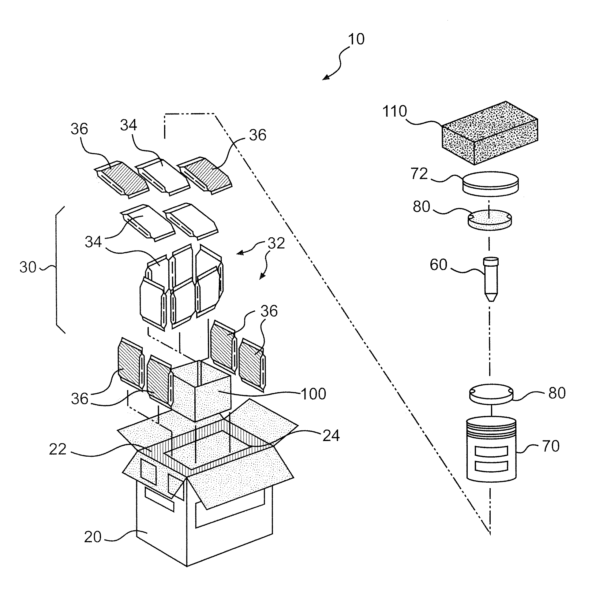 Thermally Insulated Transport Container For Cell-Based Products and Related Methods