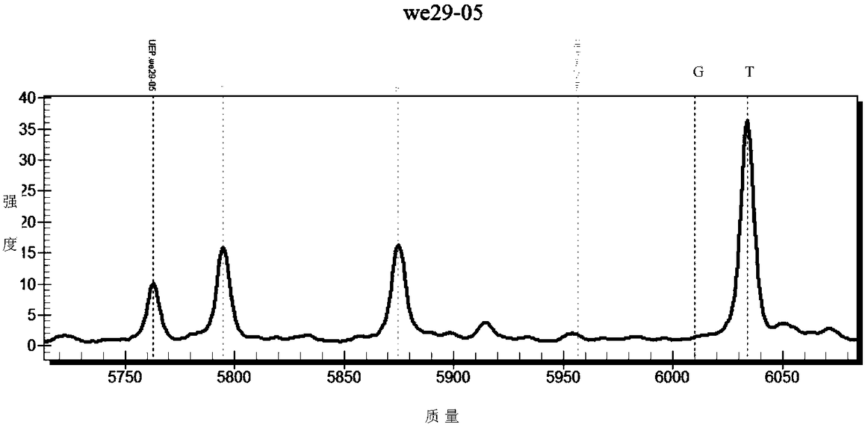 SNP nucleic acid mass spectrometric detection method for XPC gene rs2228001 locus