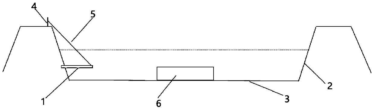 Method for increasing pelteobagrus fulvidraco fry breeding survival rate