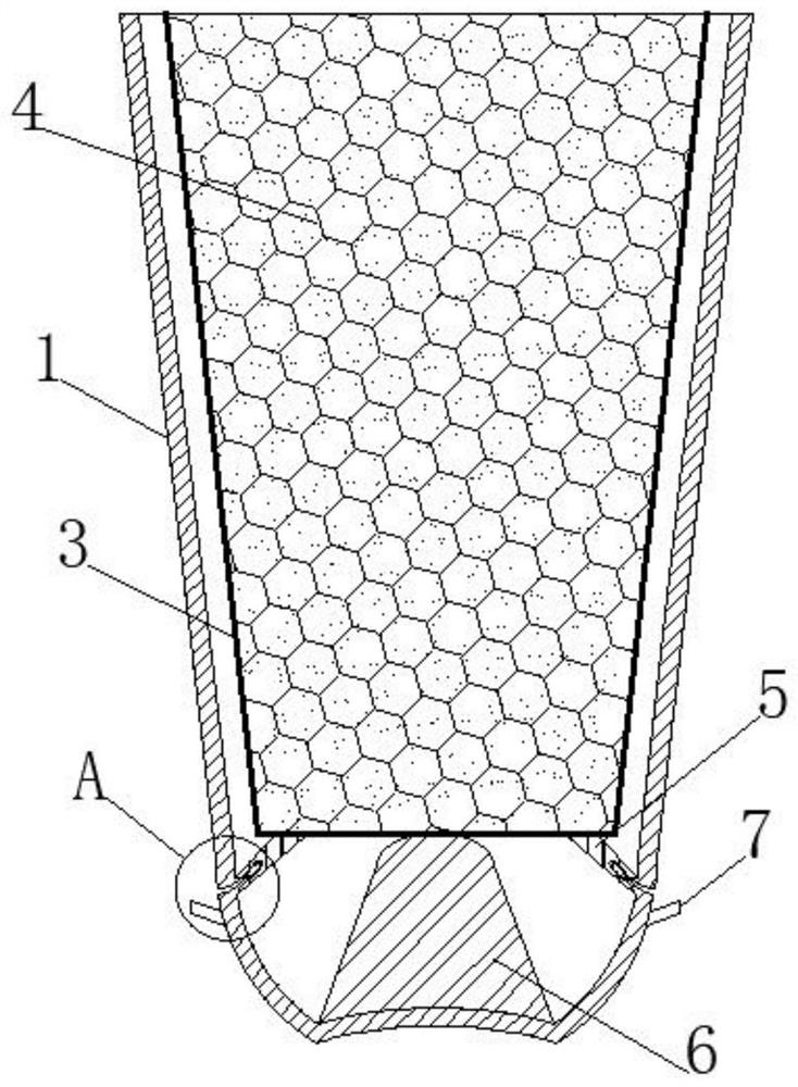 A kind of Clivia seed attachment structure and its desorption treatment method