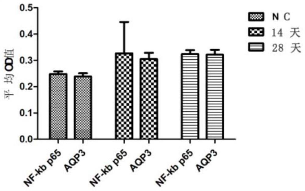 Establishment Method of Animal Model of Lingnan Damp-Heat Syndrome