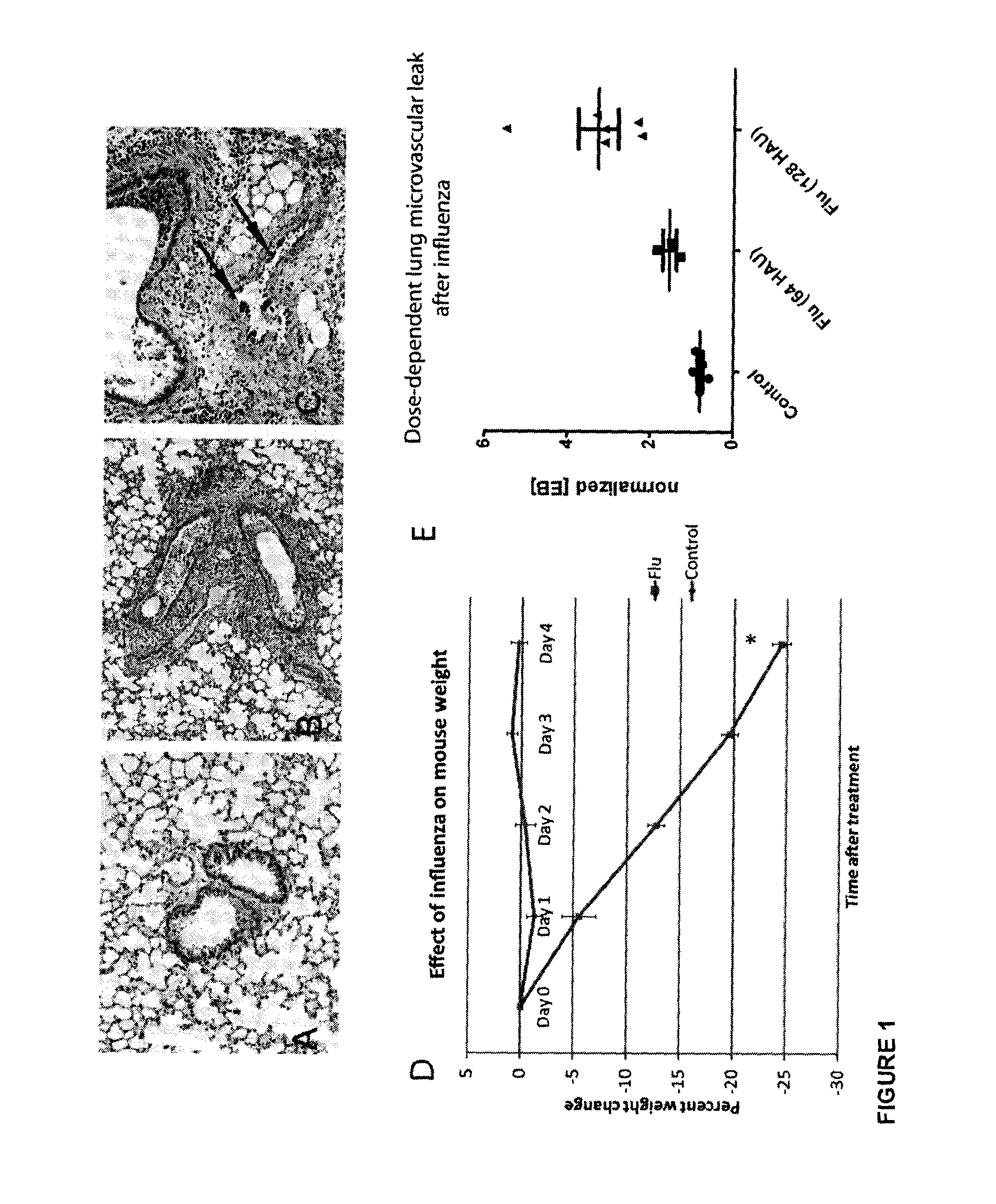 Methods, uses and compositions of tie2 agonists