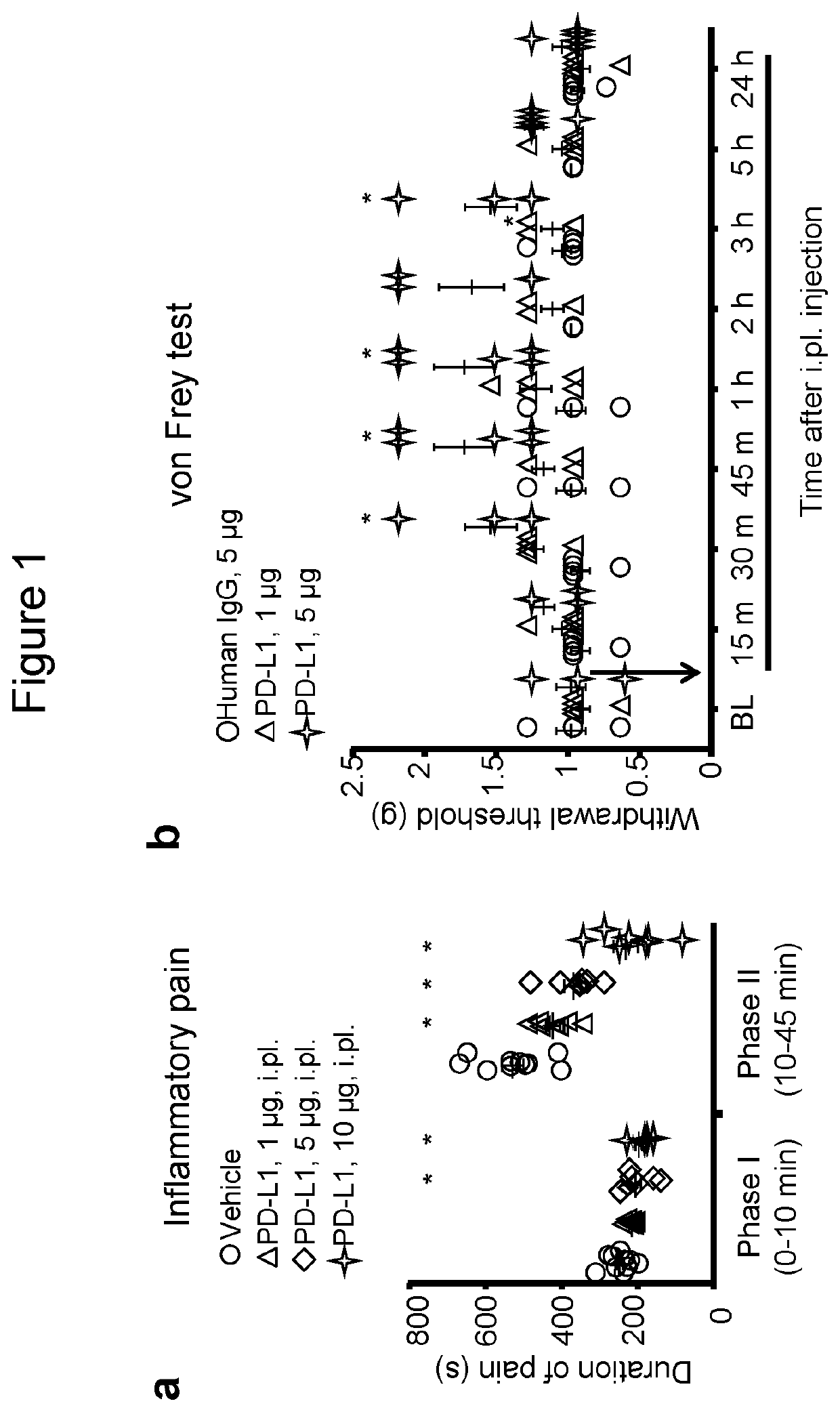 Methods and kits for treating pain