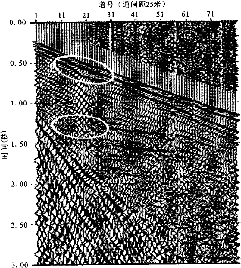 Multi-component converted wave static correction method by using surface waves