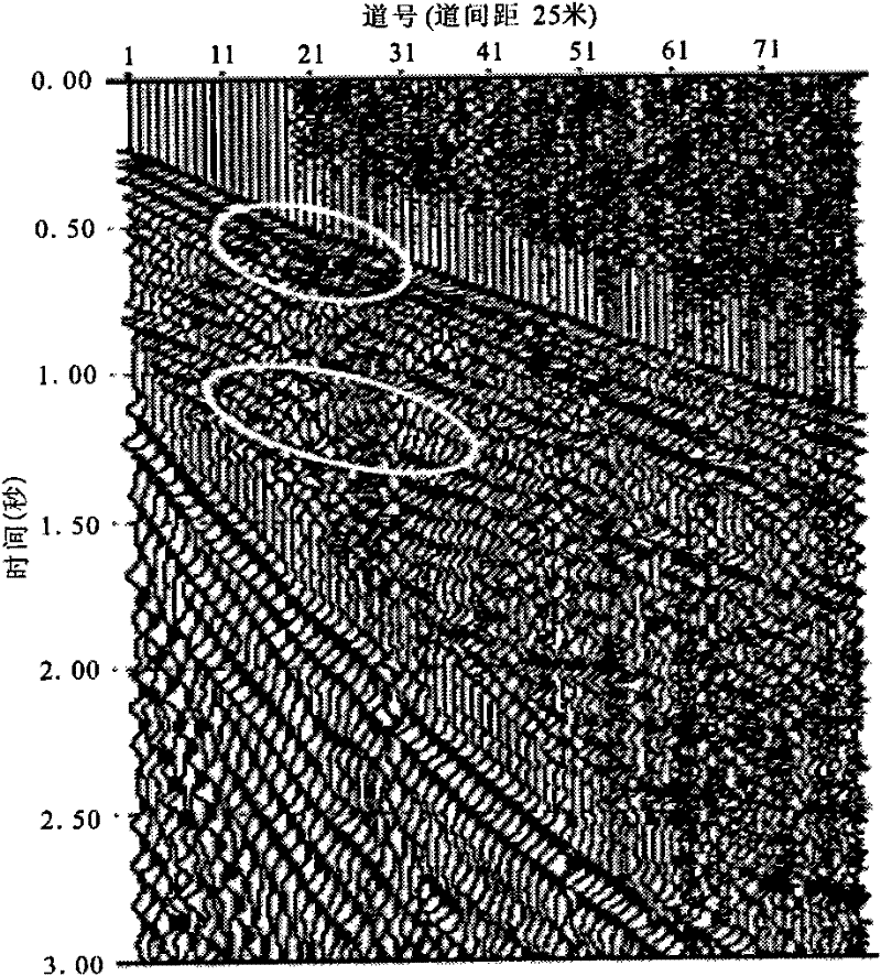 Multi-component converted wave static correction method by using surface waves
