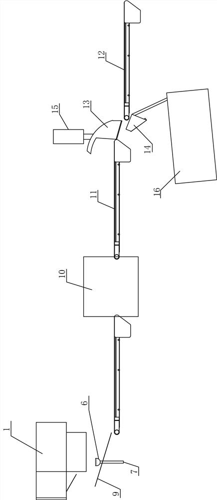 Single reed leaf feeding and sorting system and method