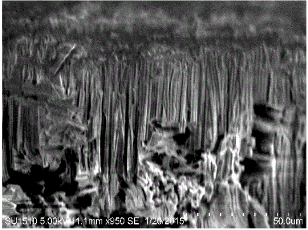 Method for preparing silicon nanostructured material based on external electric field