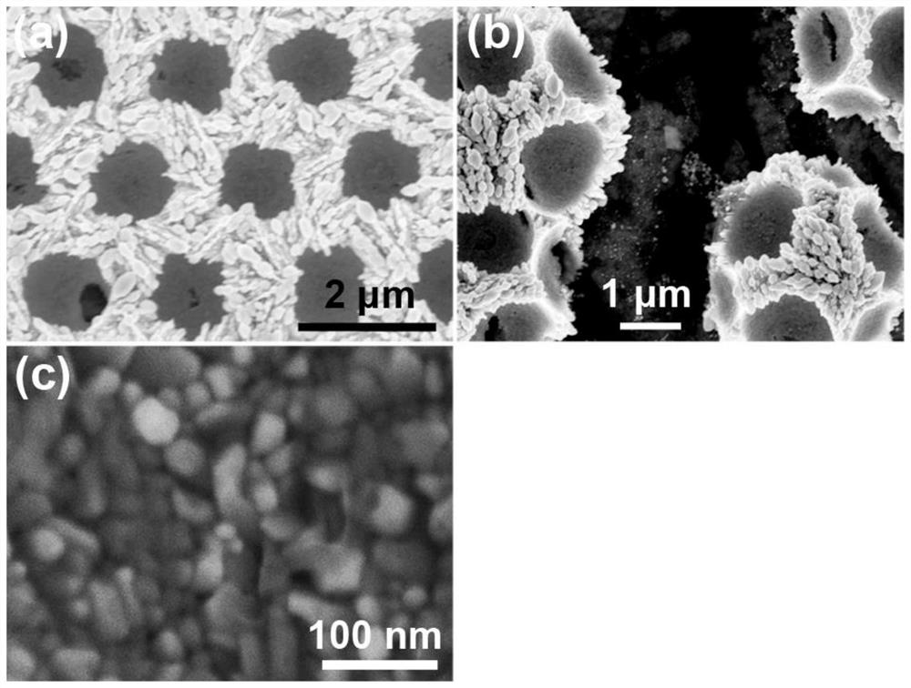 Cavity structure array assembled by silver nanoparticles as well as preparation method and application of cavity structure array