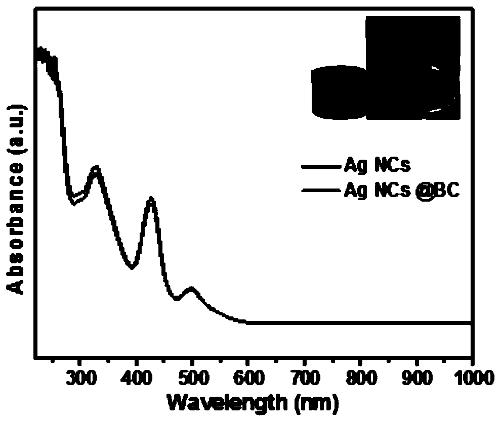 Antibacterial hydrogel, and preparation method and application thereof