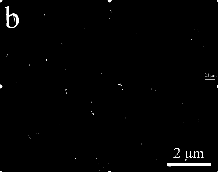 Method for preparing nitrogen-doped nickel sulfide hydrogen evolution catalyst by using annealing method and application of method
