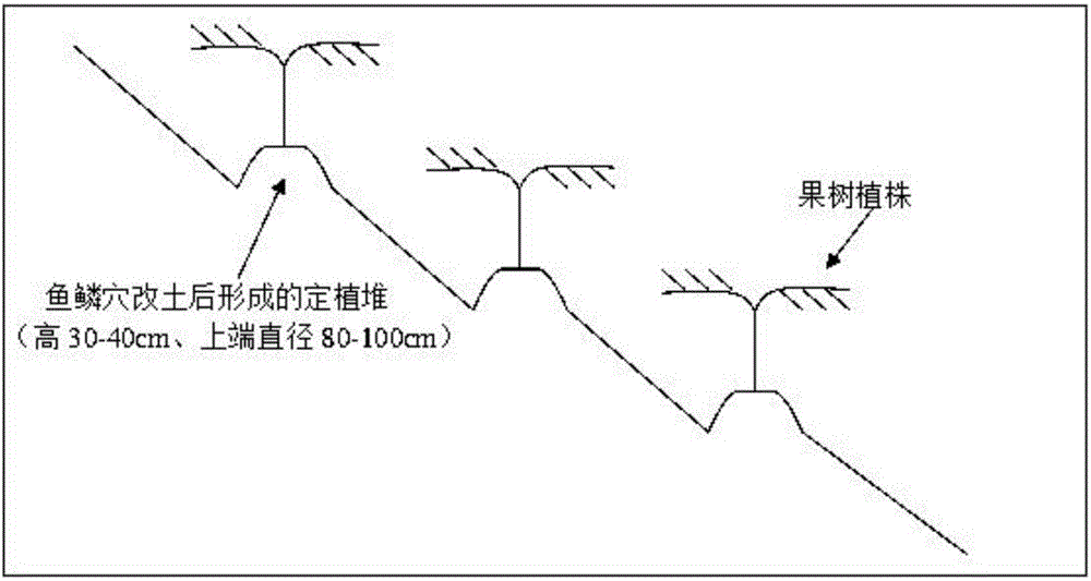 Method for changing slope orchard into civil engineering orchard