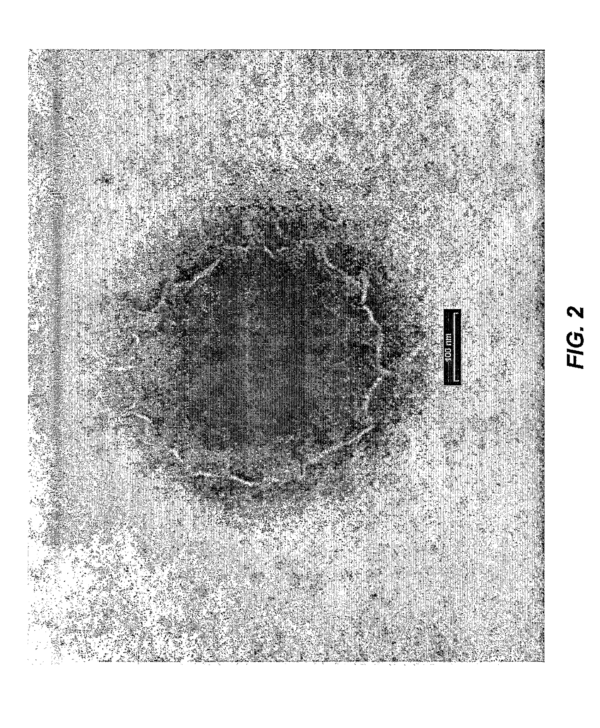 Delivery System for Topically Applied Compounds