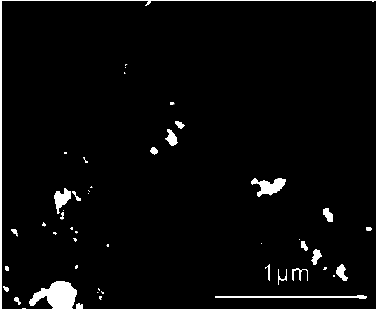 Thorny magnetic nickel telluride nano wires with functionalized gold nanoparticles as well as preparation, application