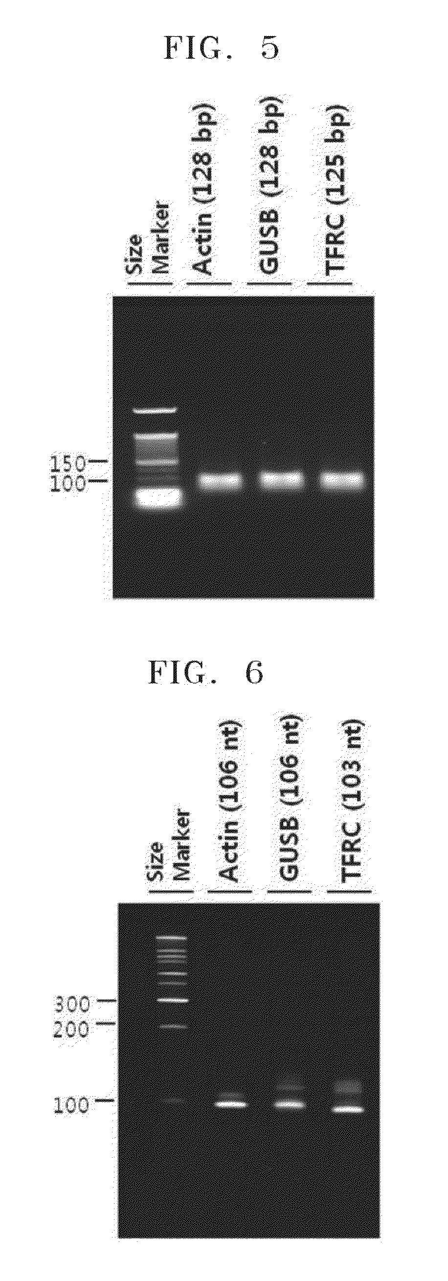 Method of determining a ratio of RNA species in a sample