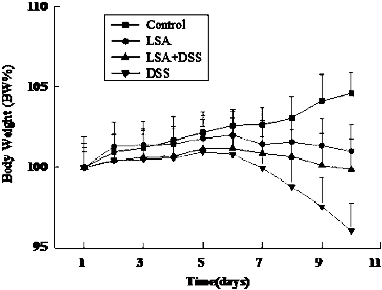 Establishment method of mouse influence model on ulcerative colitis by selenized oligomeric aminopolysaccharide (LSA)