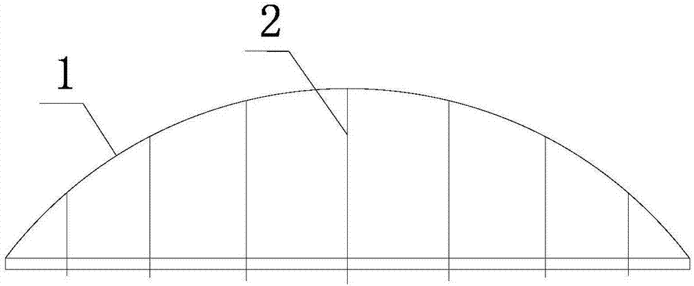 Device for conducting electric chlorine removal on suspender of suspender arch bridge