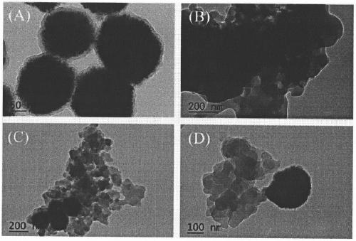 Preparation method and application of magnetic core-hollow porous molecular imprinting polymer satellite assembly for macrolide antibiotics