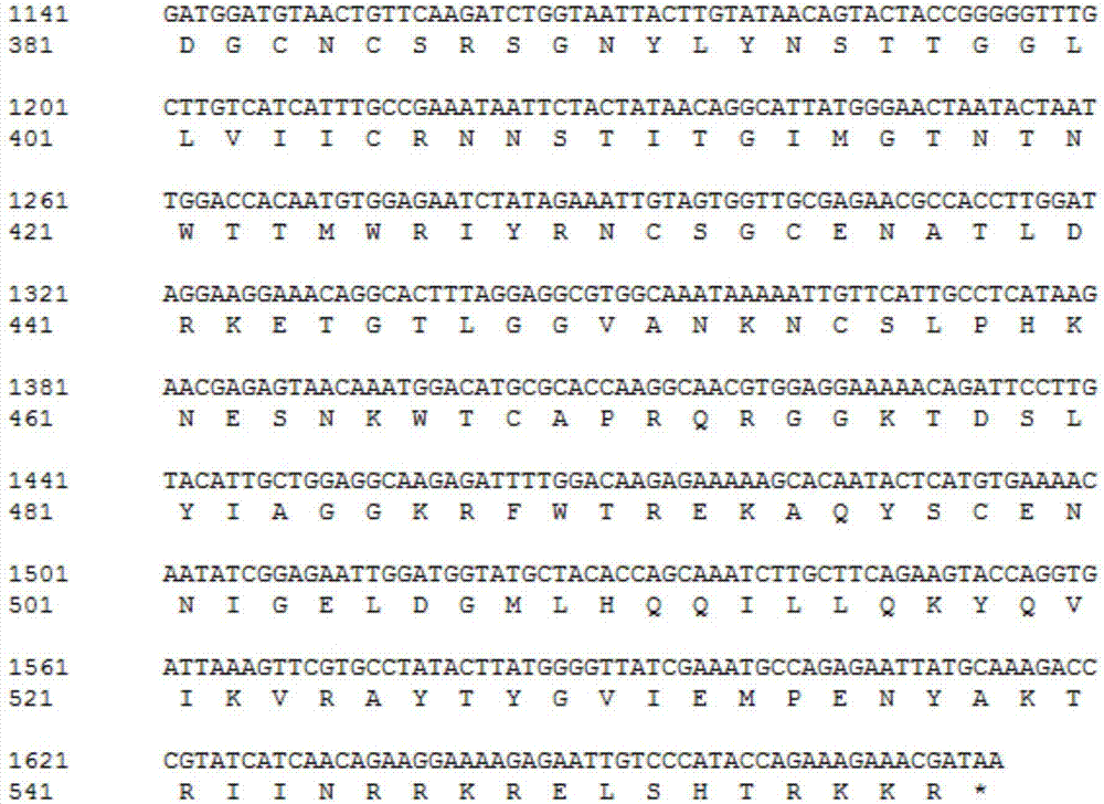 Caprine arthritis encephalitis virus-encephalitis virus serum antibody diagnosis labelled protein gp135 and preparation method thereof