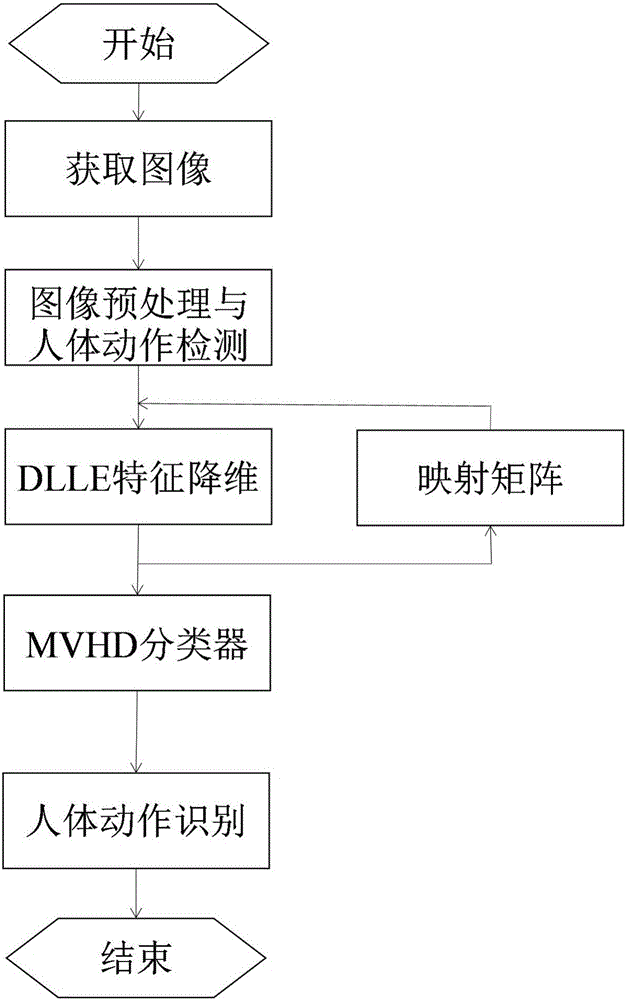 DLLE model-based data dimension reduction and characteristic understanding method