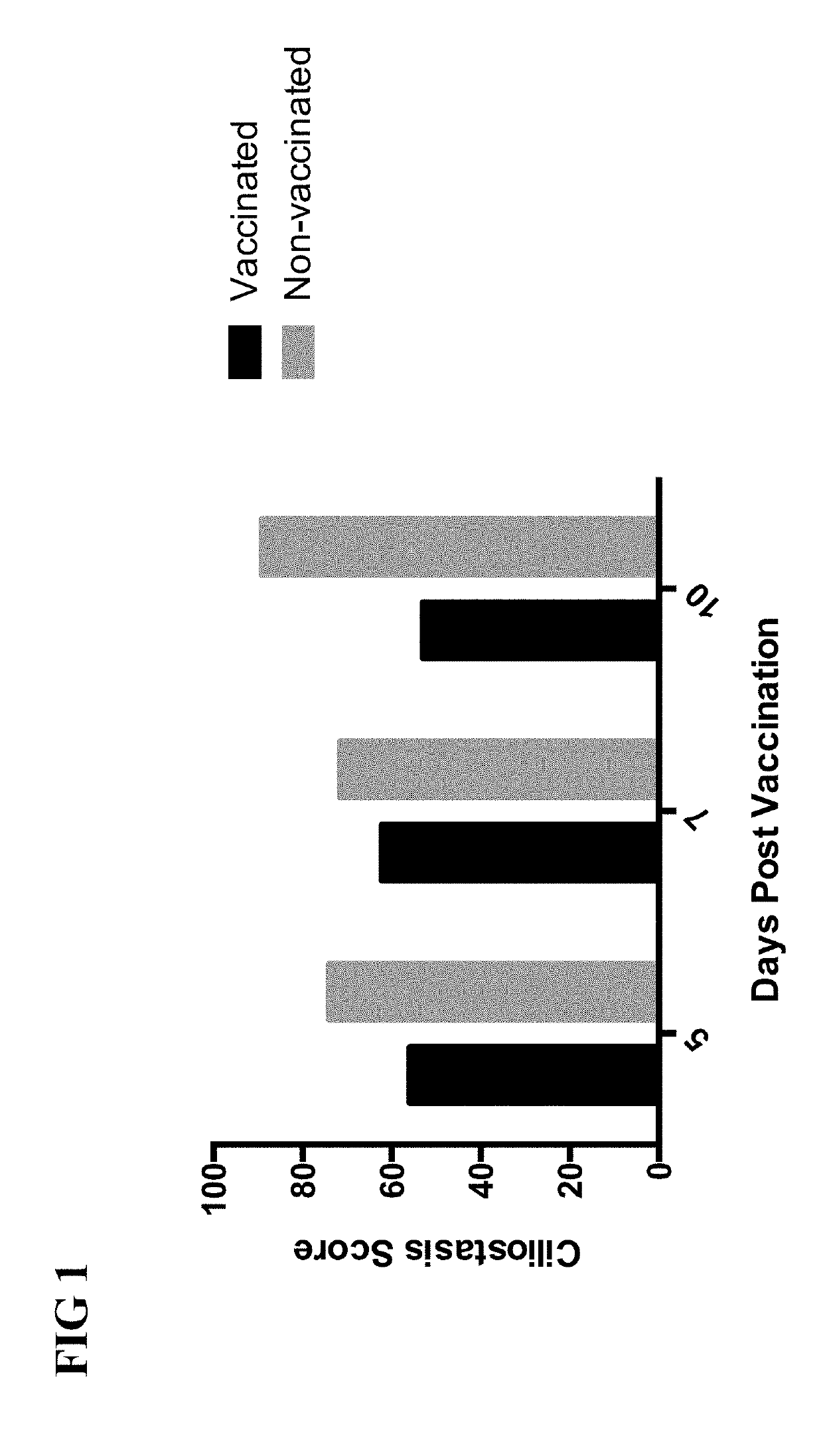 Live attenuated Arkansas serotype infectious bronchitis virus vaccine