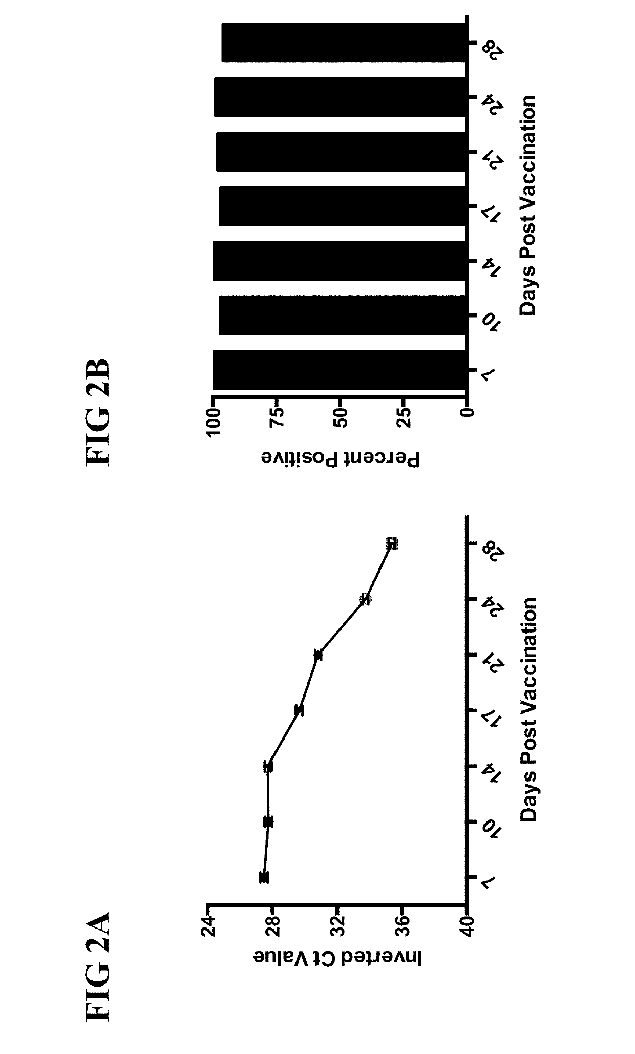 Live attenuated Arkansas serotype infectious bronchitis virus vaccine