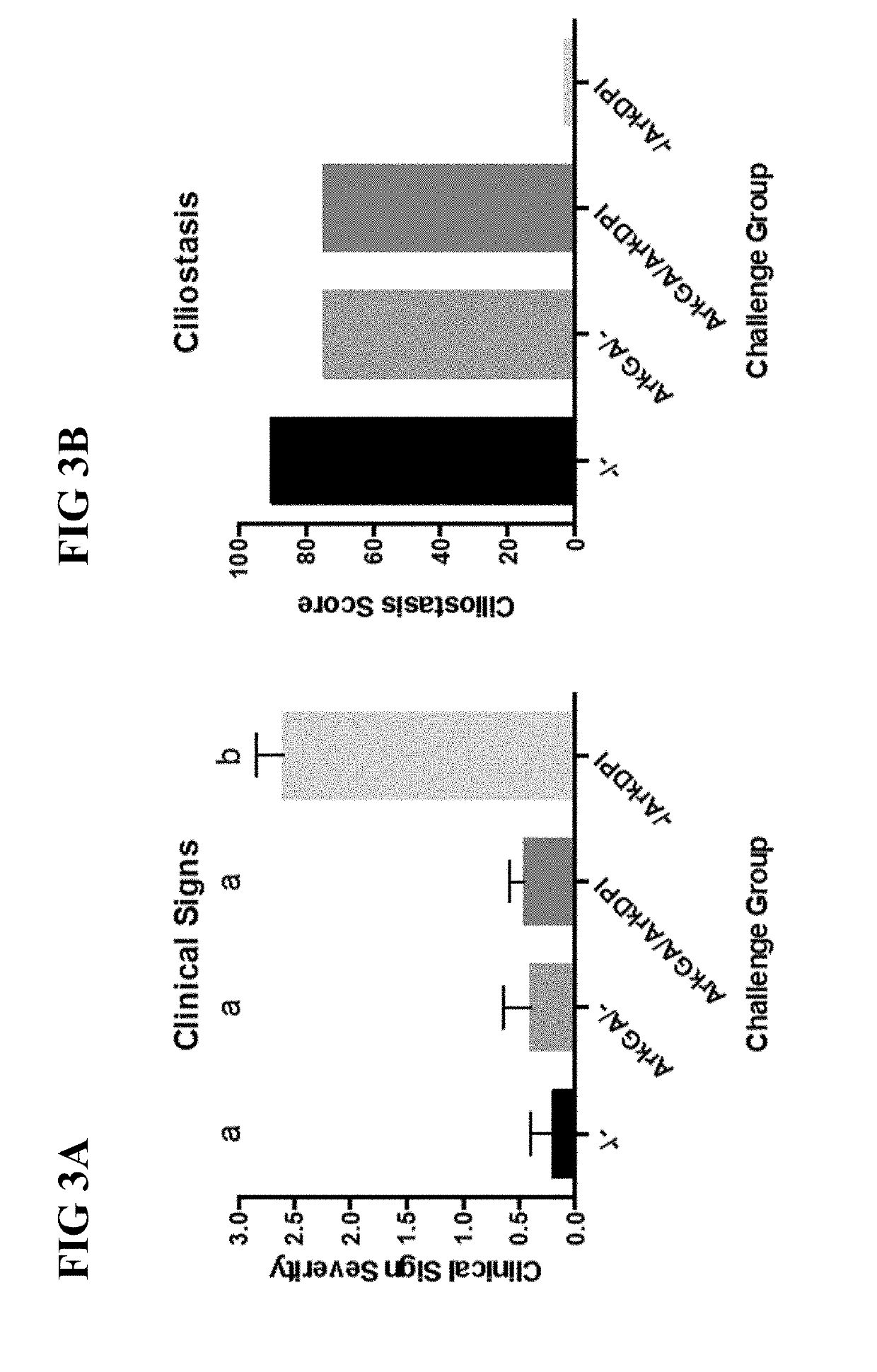 Live attenuated Arkansas serotype infectious bronchitis virus vaccine