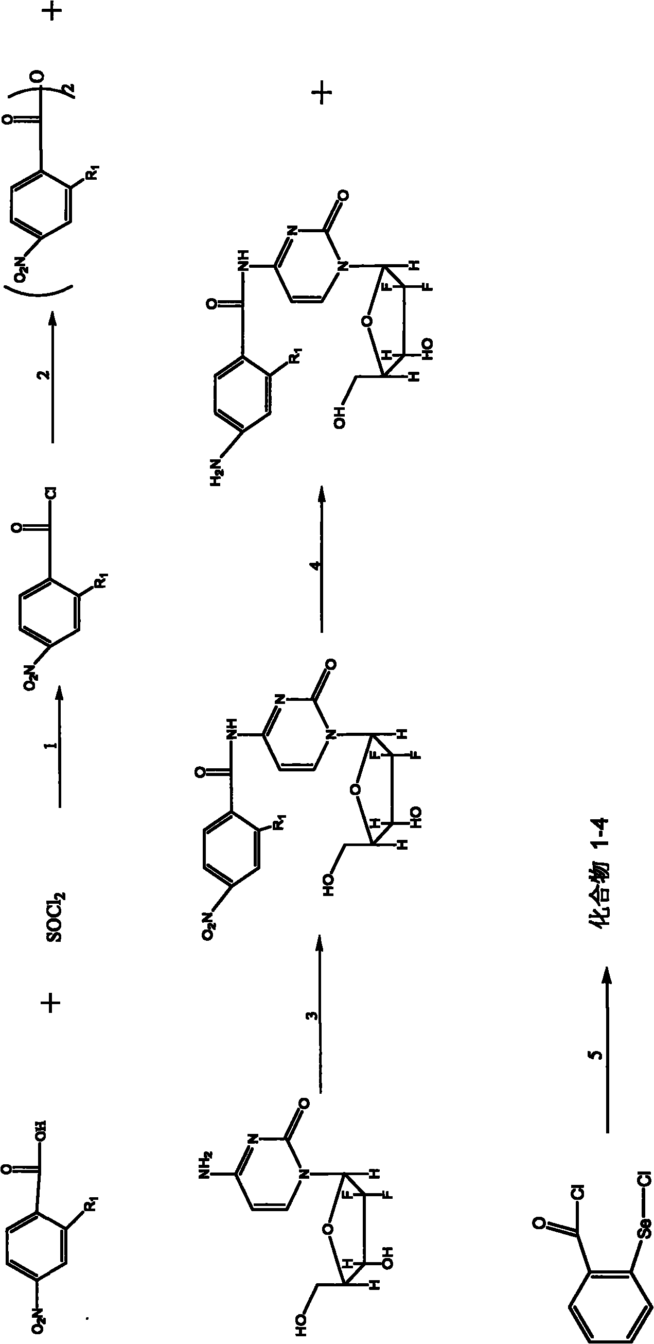 Benzisoselenazolone difluorocytidine compound as well as preparation method and application thereof