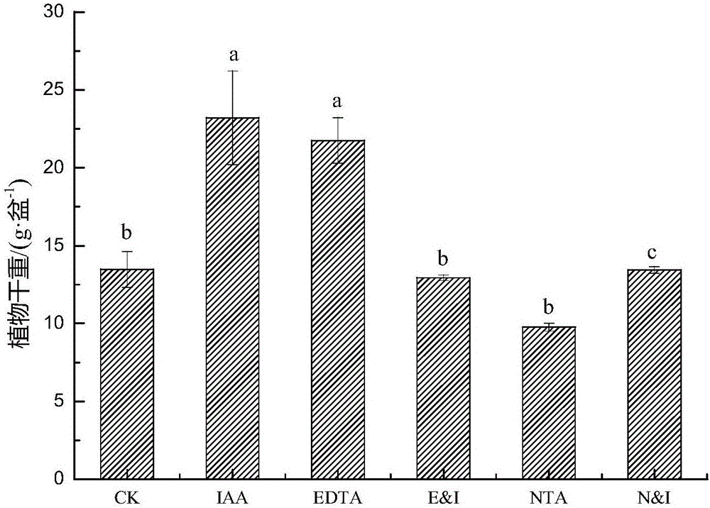 Method for remedying heavy metal Cu contaminated soil