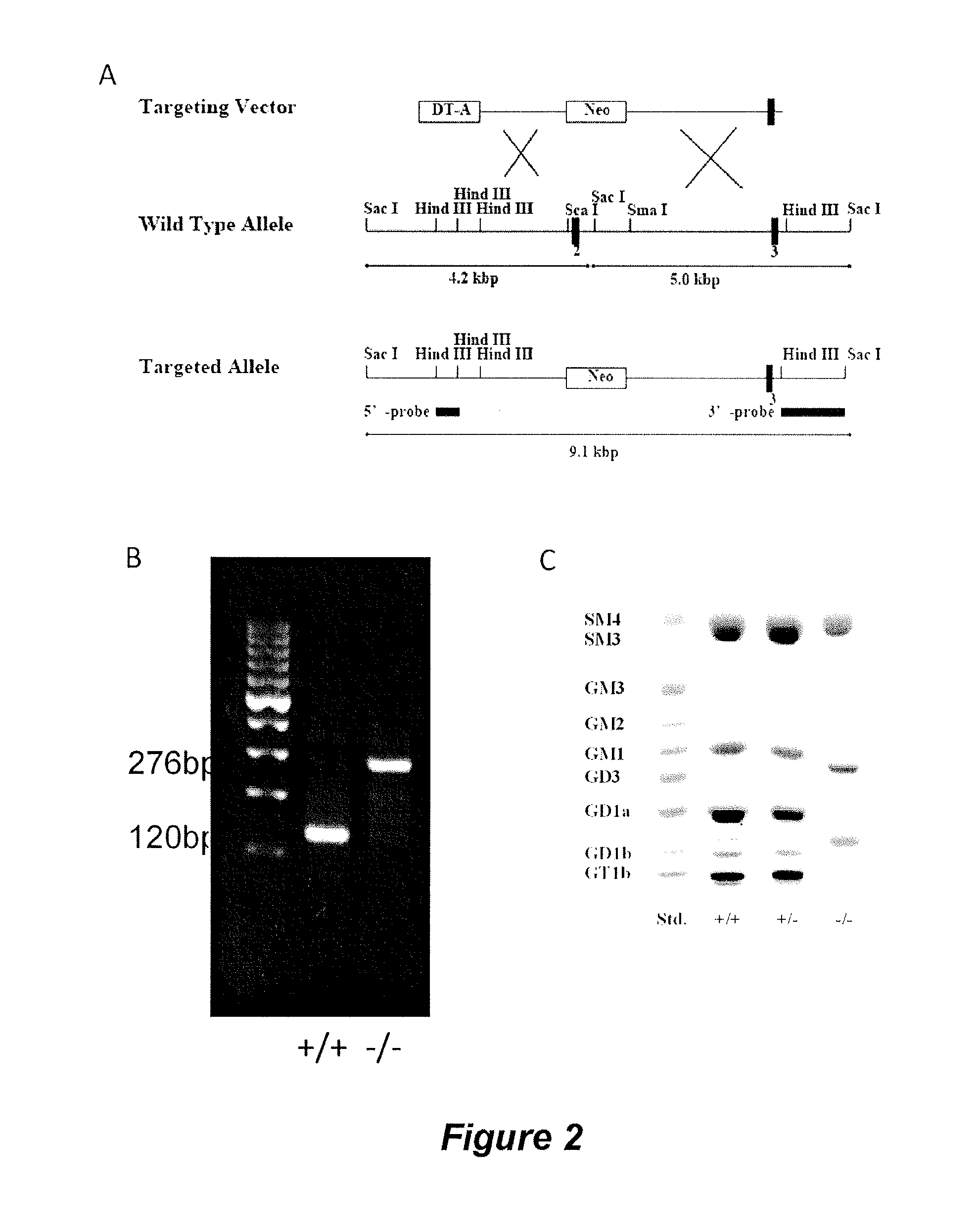 Method for selective control of helper t cell function