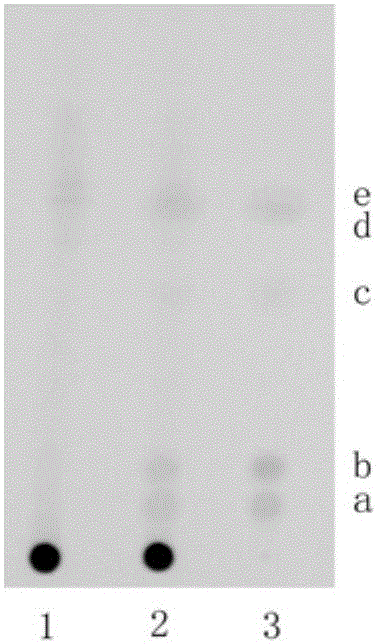 A method for rapid screening of 5 illegally added chemical substances in Xiaohuoluo Pills