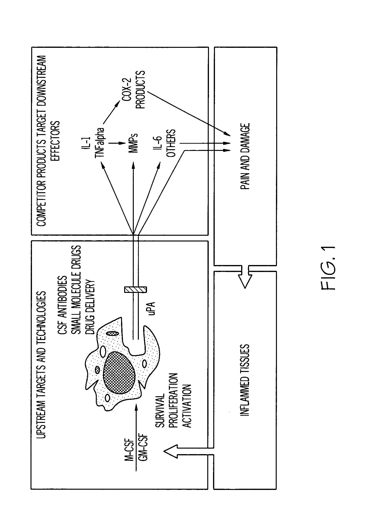 Method of treatment and Agents useful for same