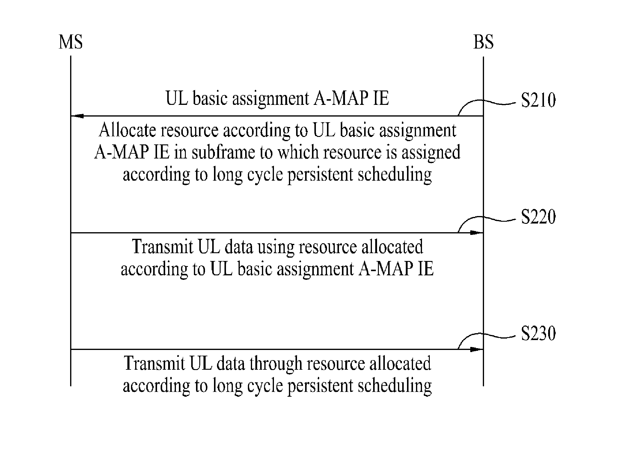 apparatus-and-method-for-transmitting-and-receiving-persistent