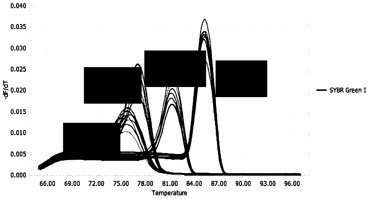 Fluorescent quantitation PCR detection method of gyrovirus3 GyV3
