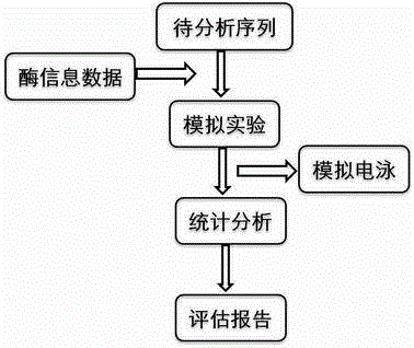 Method and system for intelligent enzyme digestion simulation based on BM matching algorithm and PSO optimization algorithm