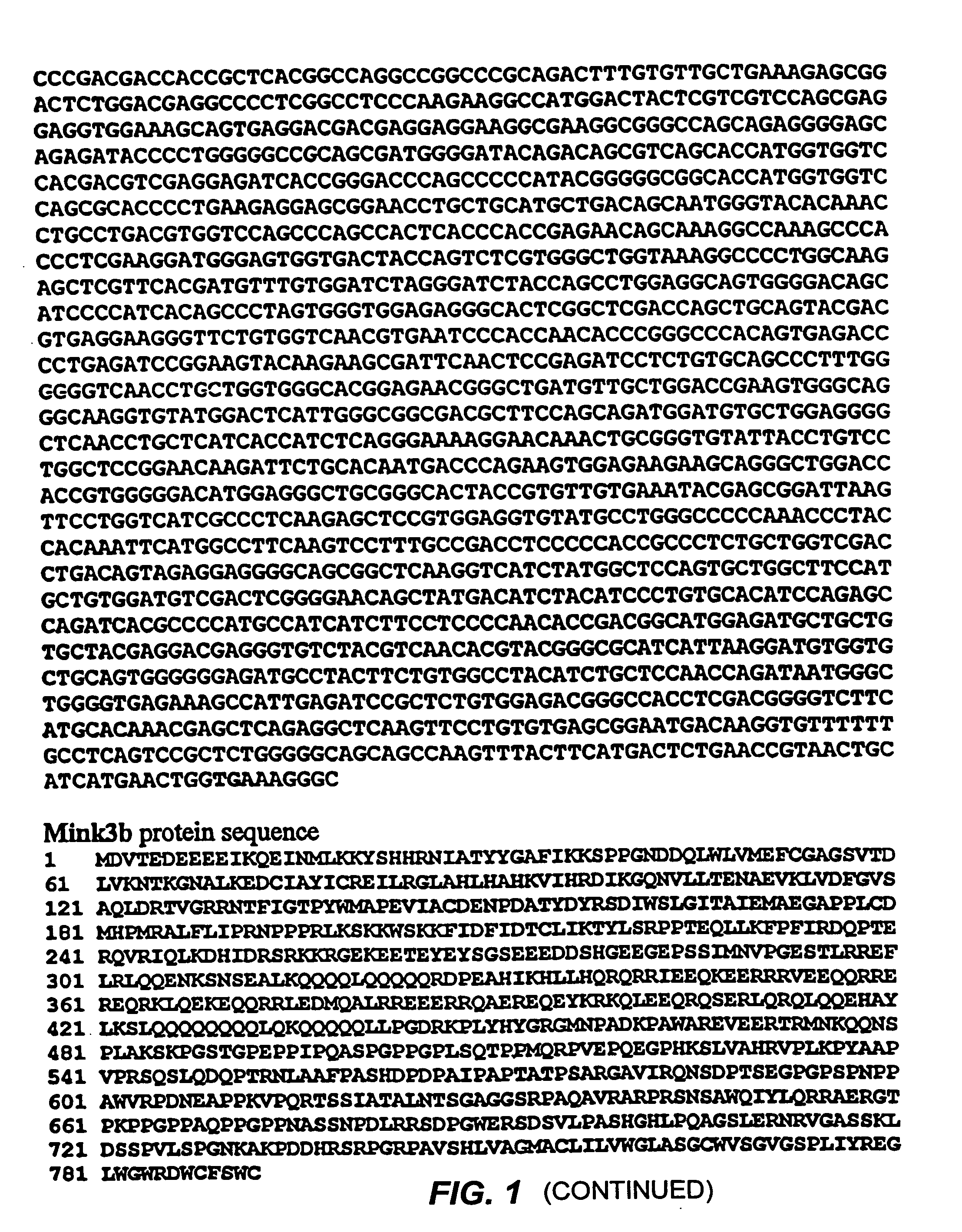 Novel germinal center kinase proteins, compositions, and methods of use