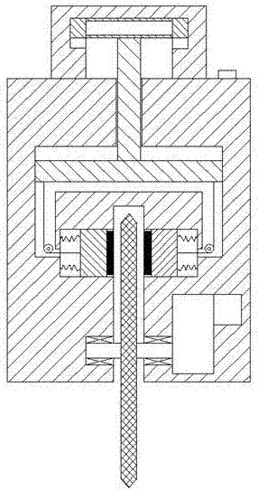 Polishing device