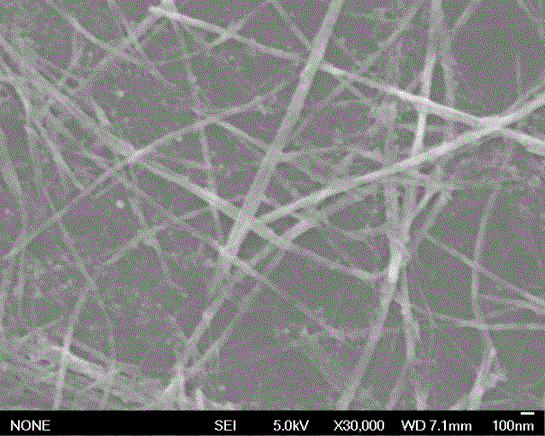 Preparation method and application of nano-wire/nano-particle modified electrode